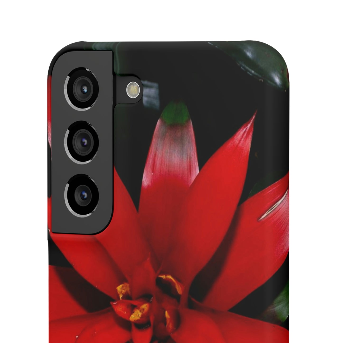 Floral Burst Snap Cases