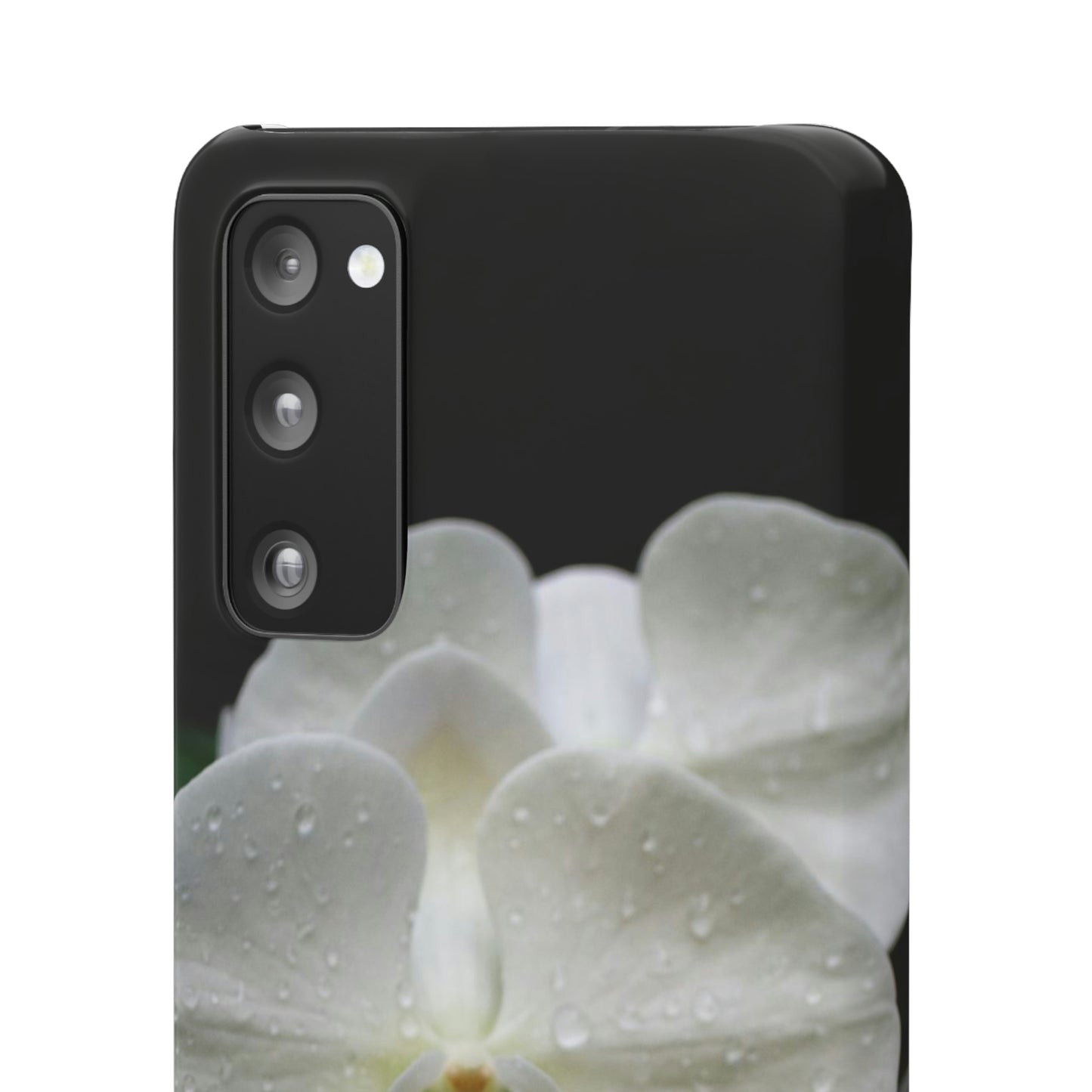 Orchid Snap Cases