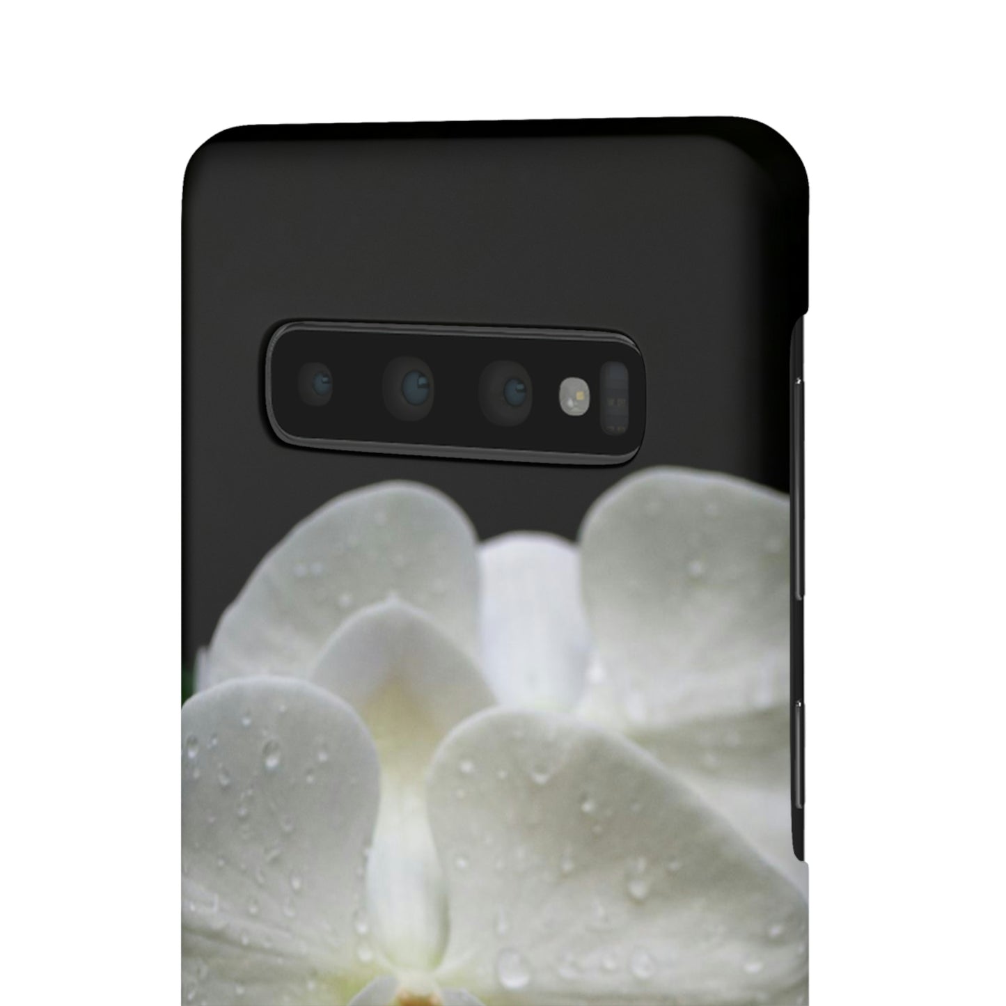 Orchid Snap Cases