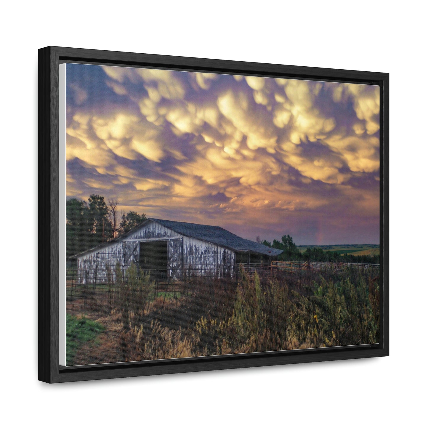 Storm on the plains Gallery Canvas Wraps, Horizontal Frame