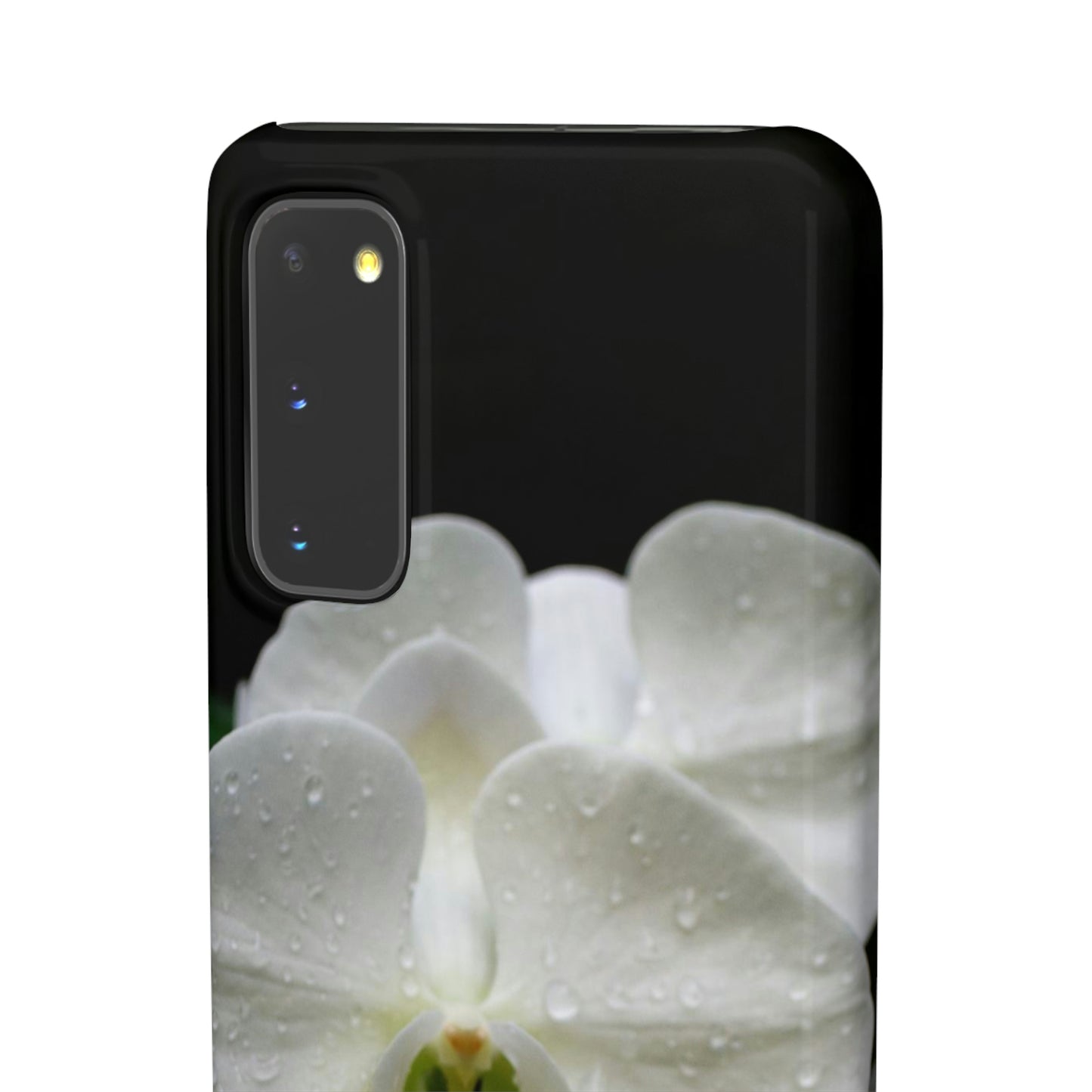 Orchid Snap Cases