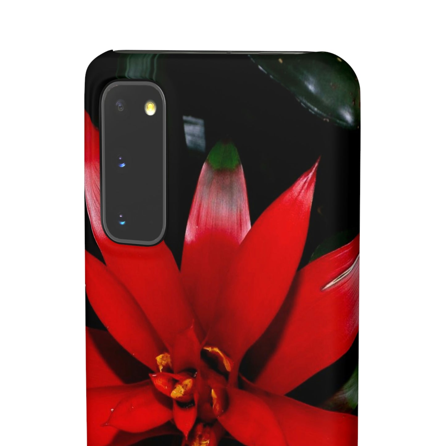 Floral Burst Snap Cases