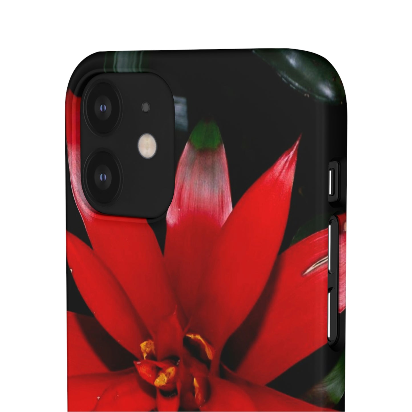 Floral Burst Snap Cases