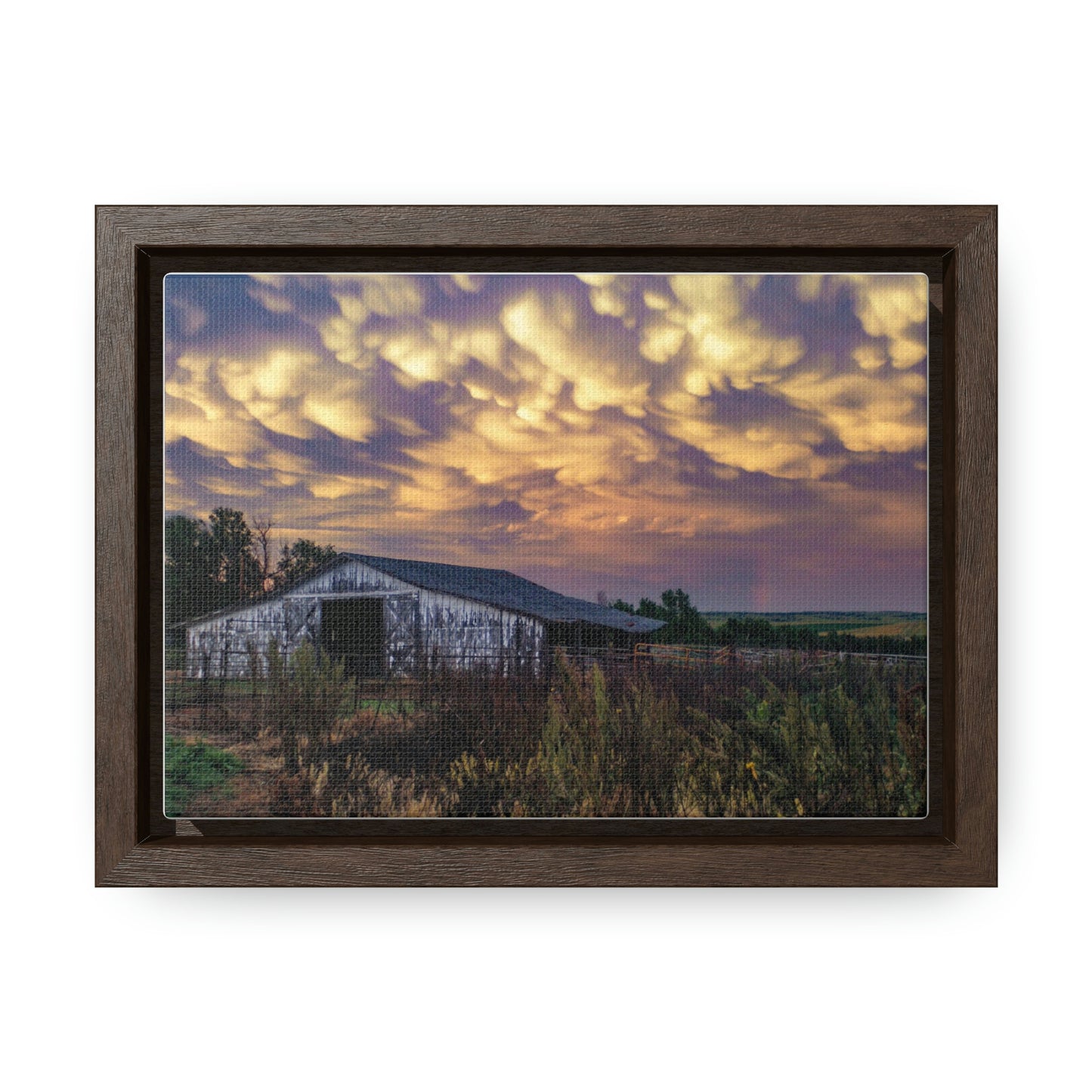 Storm on the plains Gallery Canvas Wraps, Horizontal Frame