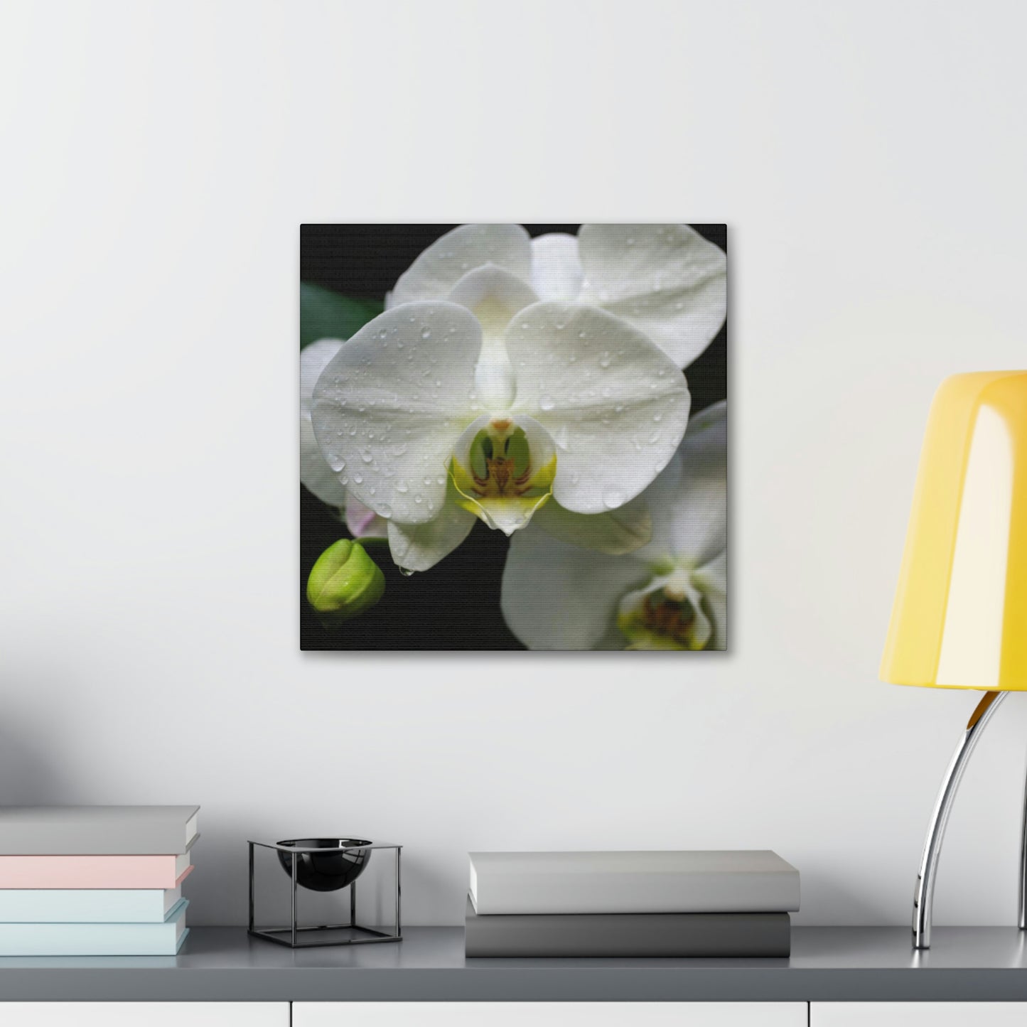 Orchid in the dark Canvas Gallery Wraps