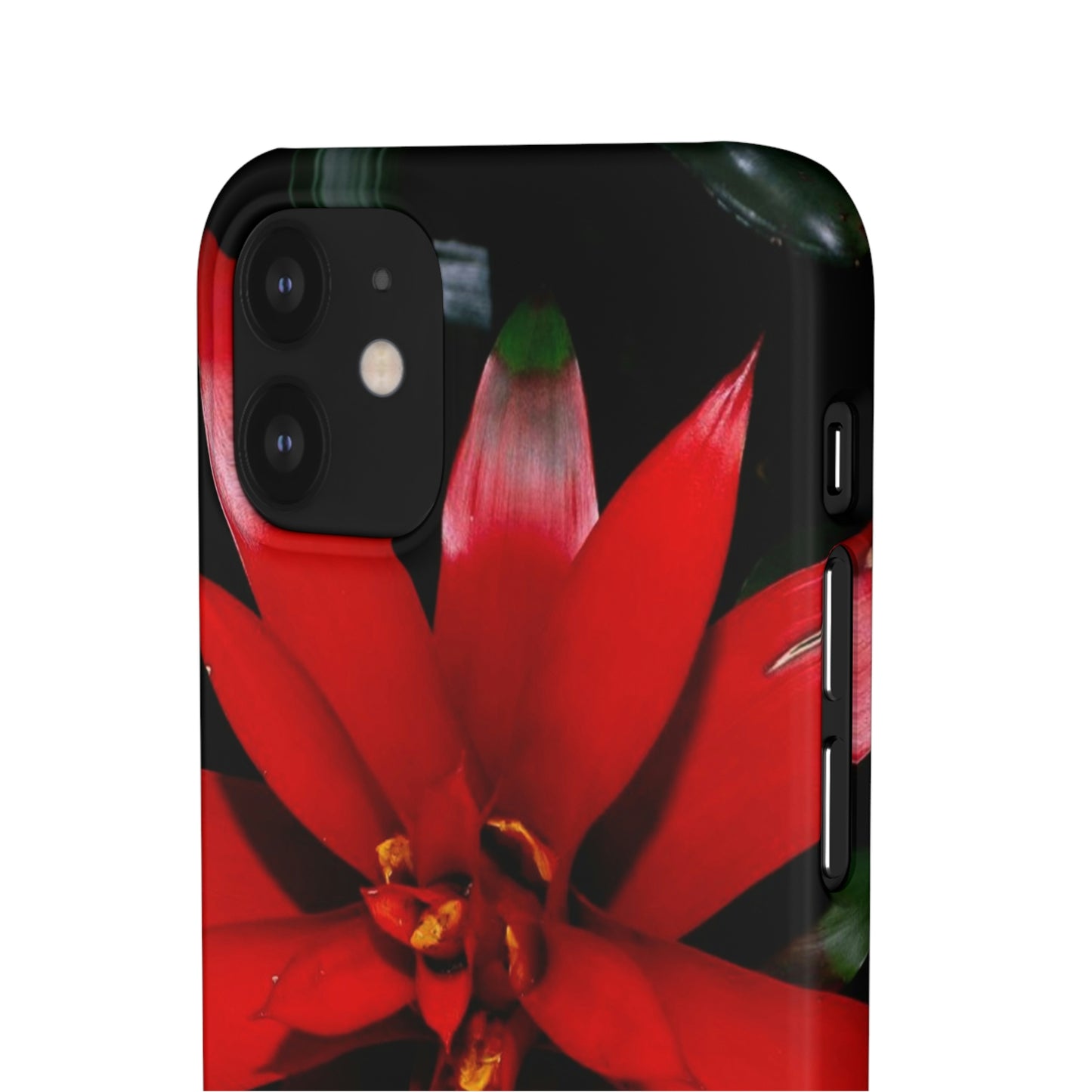 Floral Burst Snap Cases