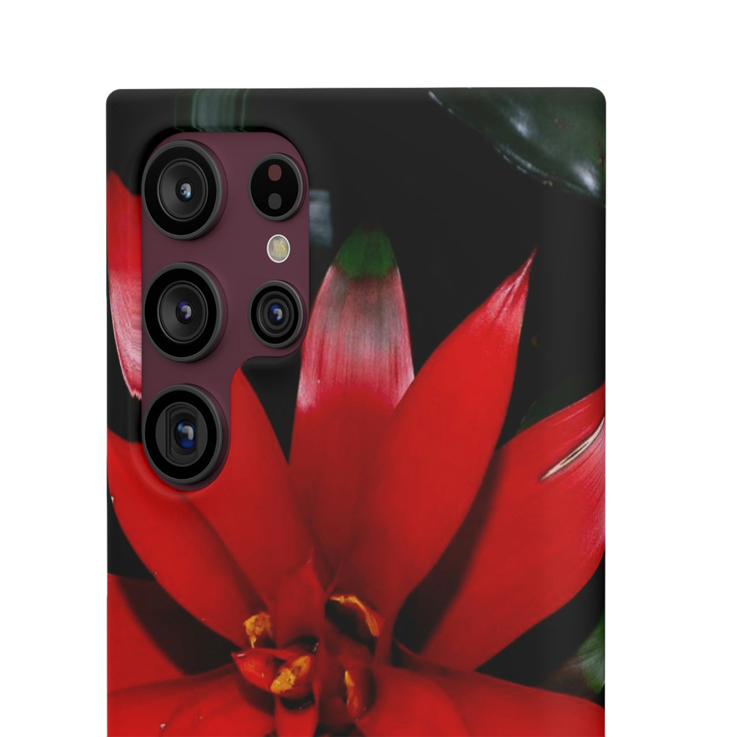 Floral Burst Snap Cases