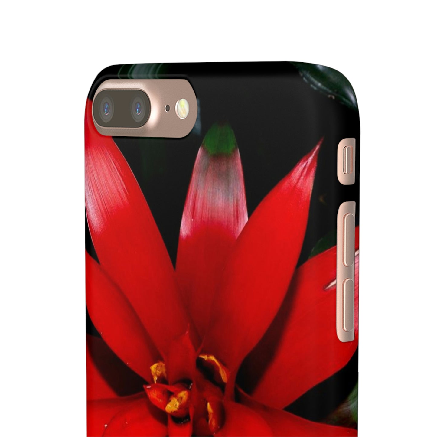 Floral Burst Snap Cases