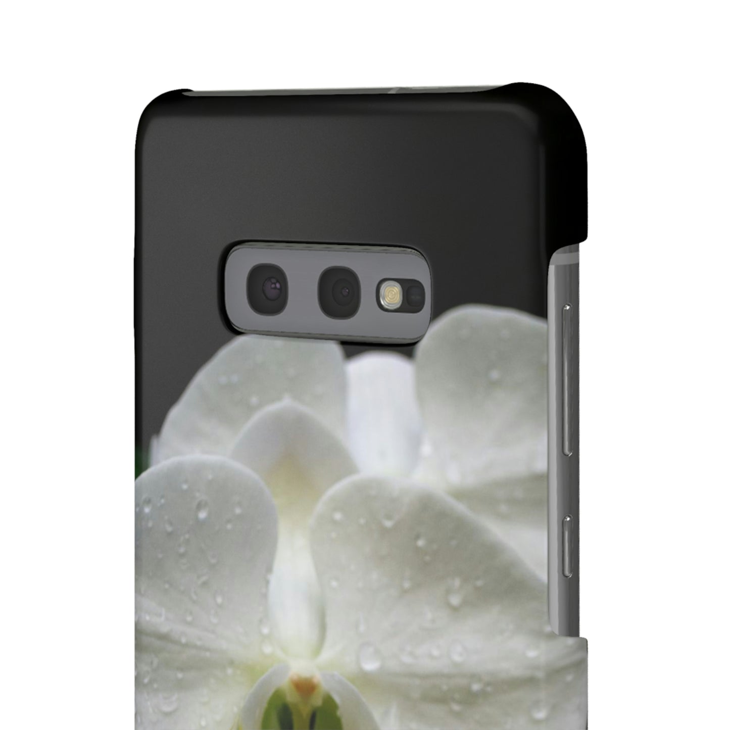 Orchid Snap Cases