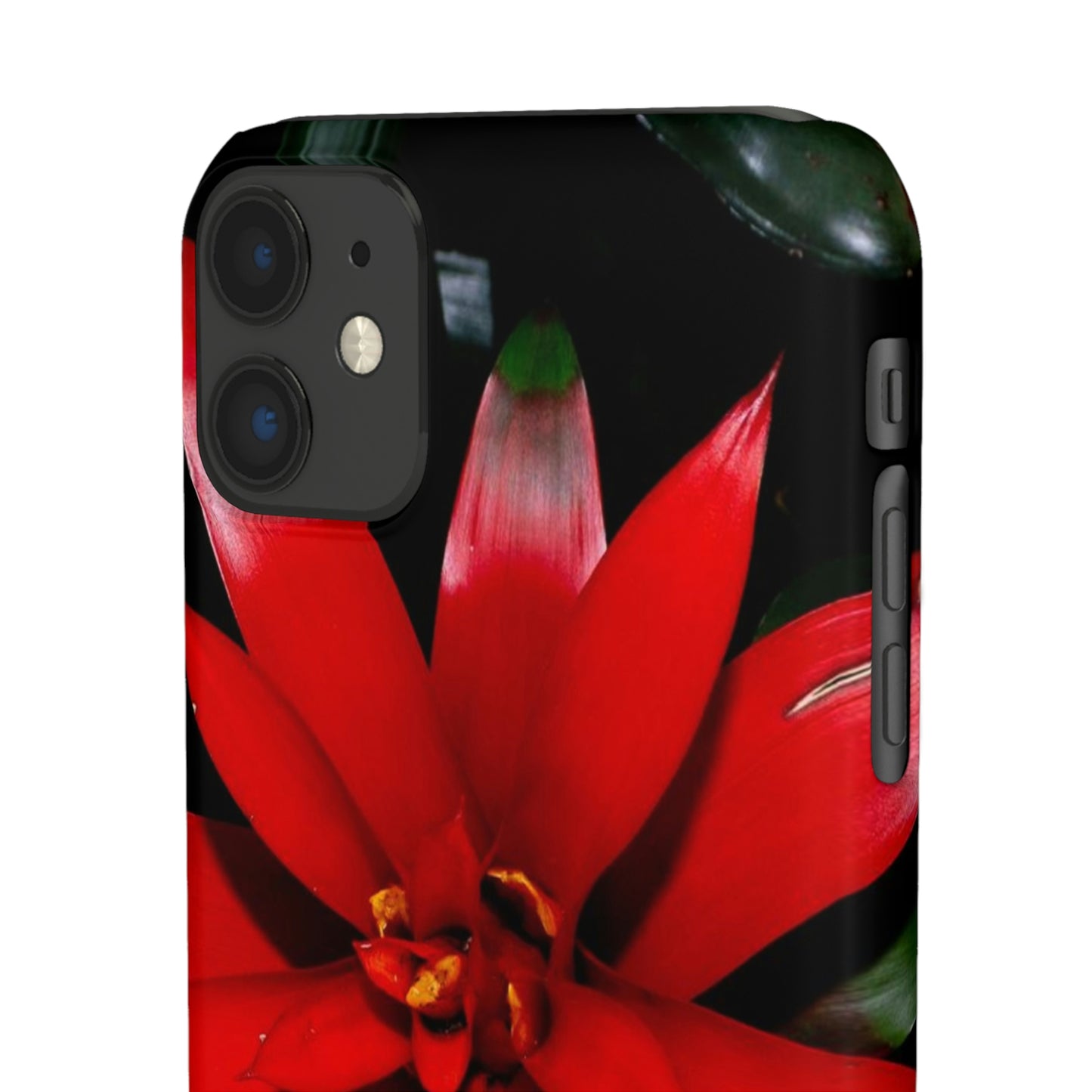 Floral Burst Snap Cases