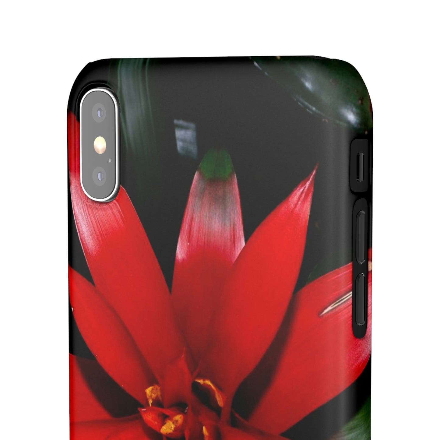 Floral Burst Snap Cases