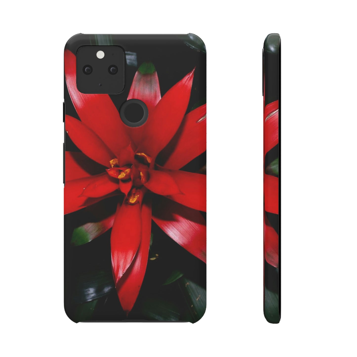 Floral Burst Snap Cases