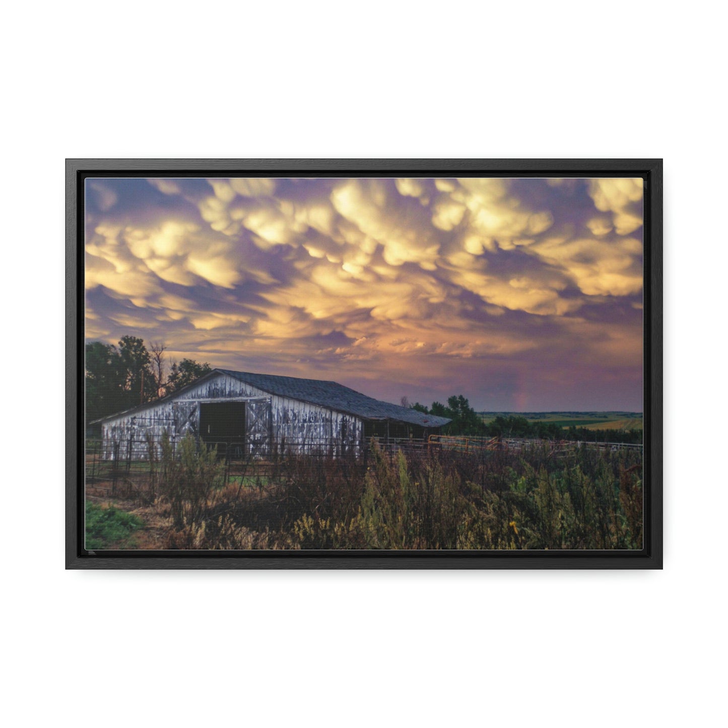 Storm on the plains Gallery Canvas Wraps, Horizontal Frame