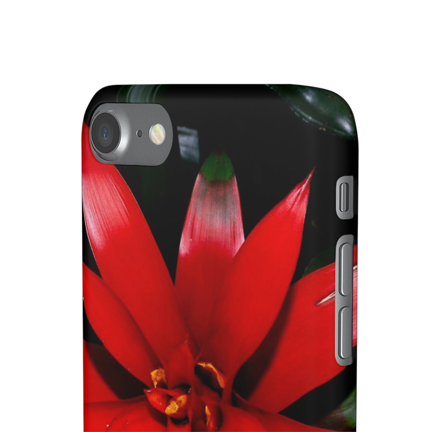 Floral Burst Snap Cases