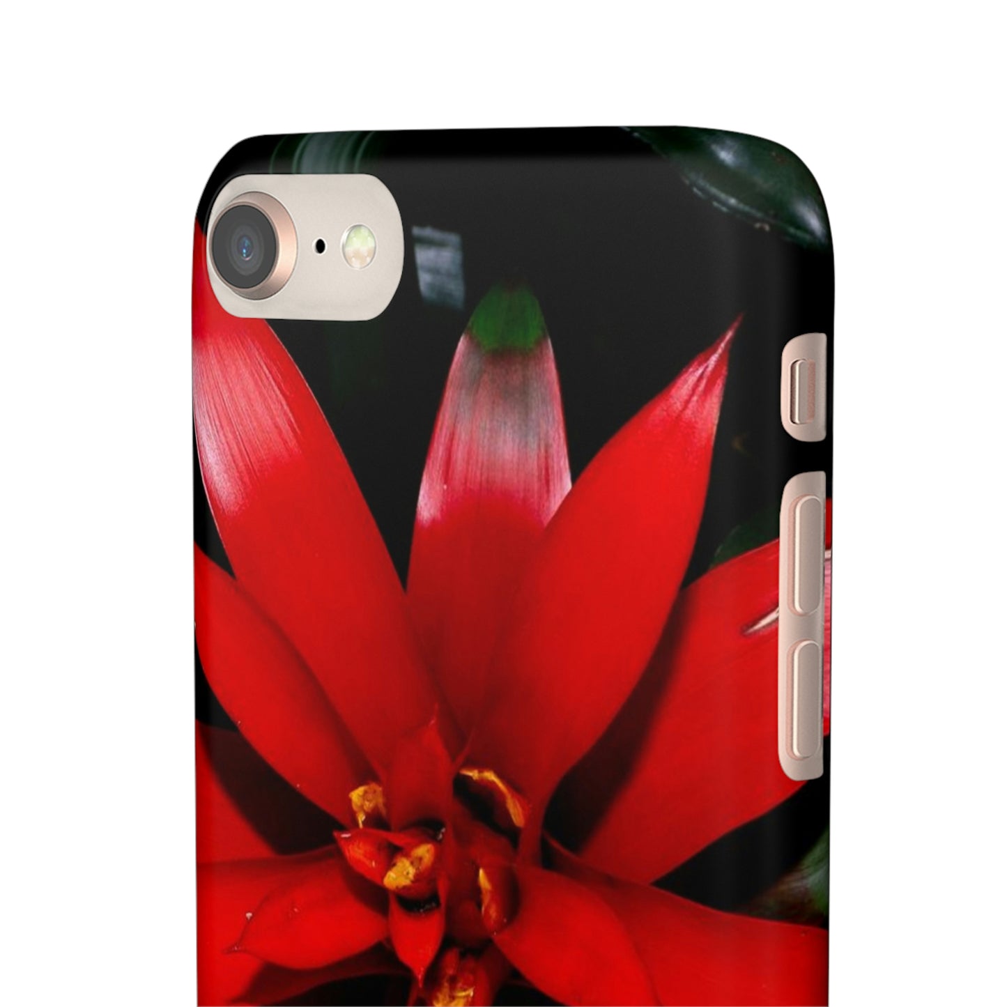 Floral Burst Snap Cases