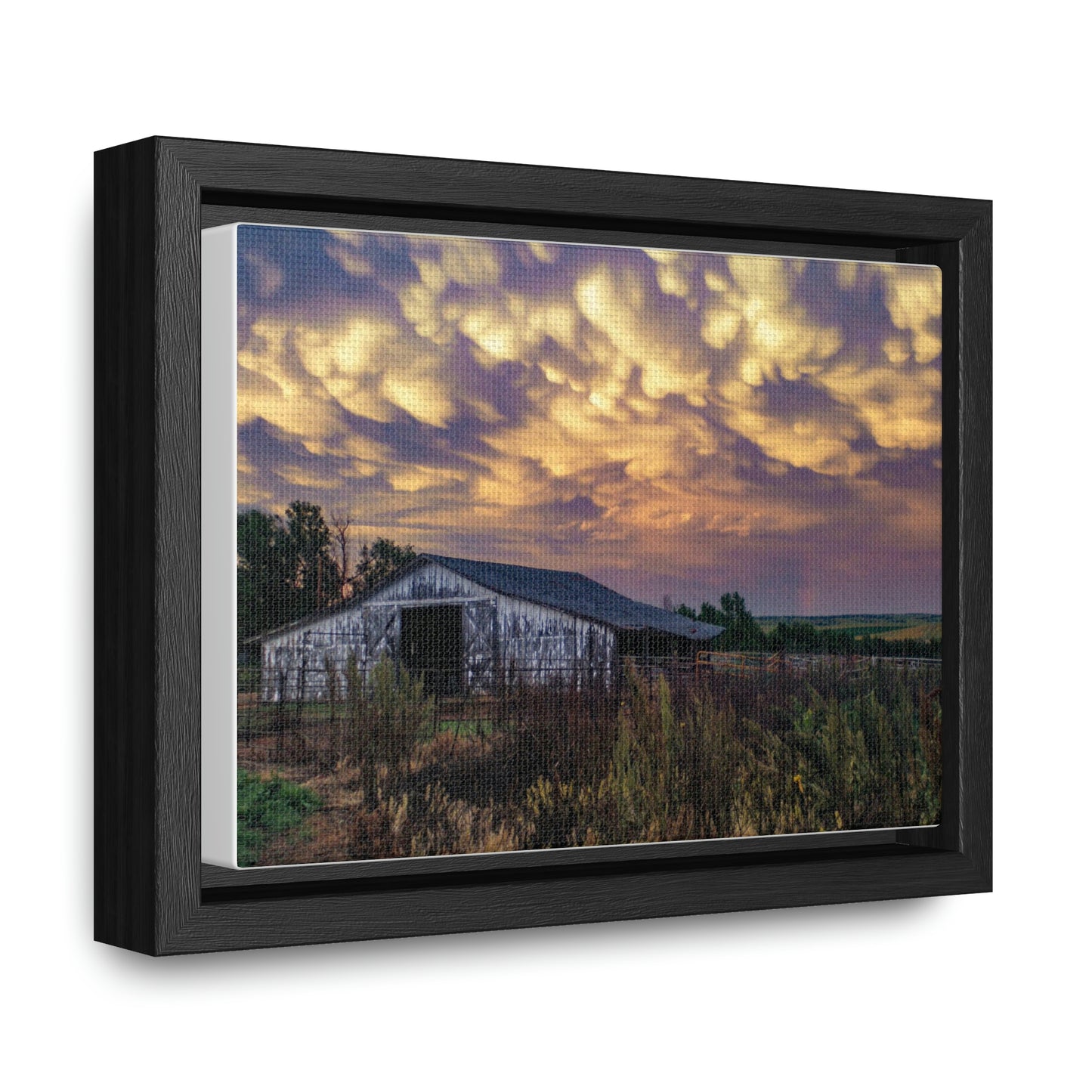 Storm on the plains Gallery Canvas Wraps, Horizontal Frame