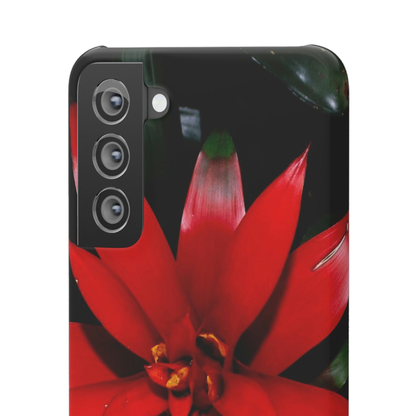 Floral Burst Snap Cases