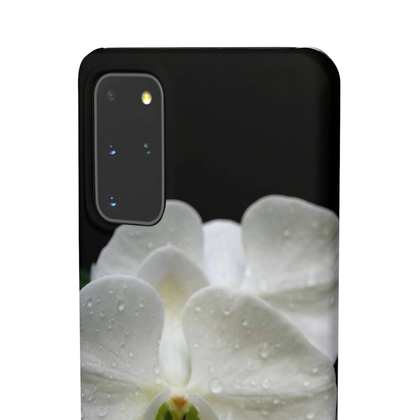 Orchid Snap Cases