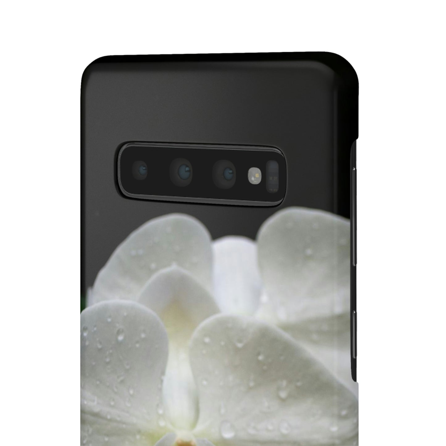 Orchid Snap Cases