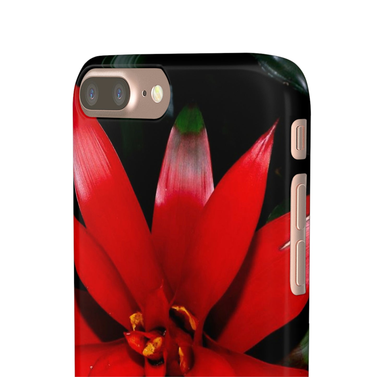 Floral Burst Snap Cases