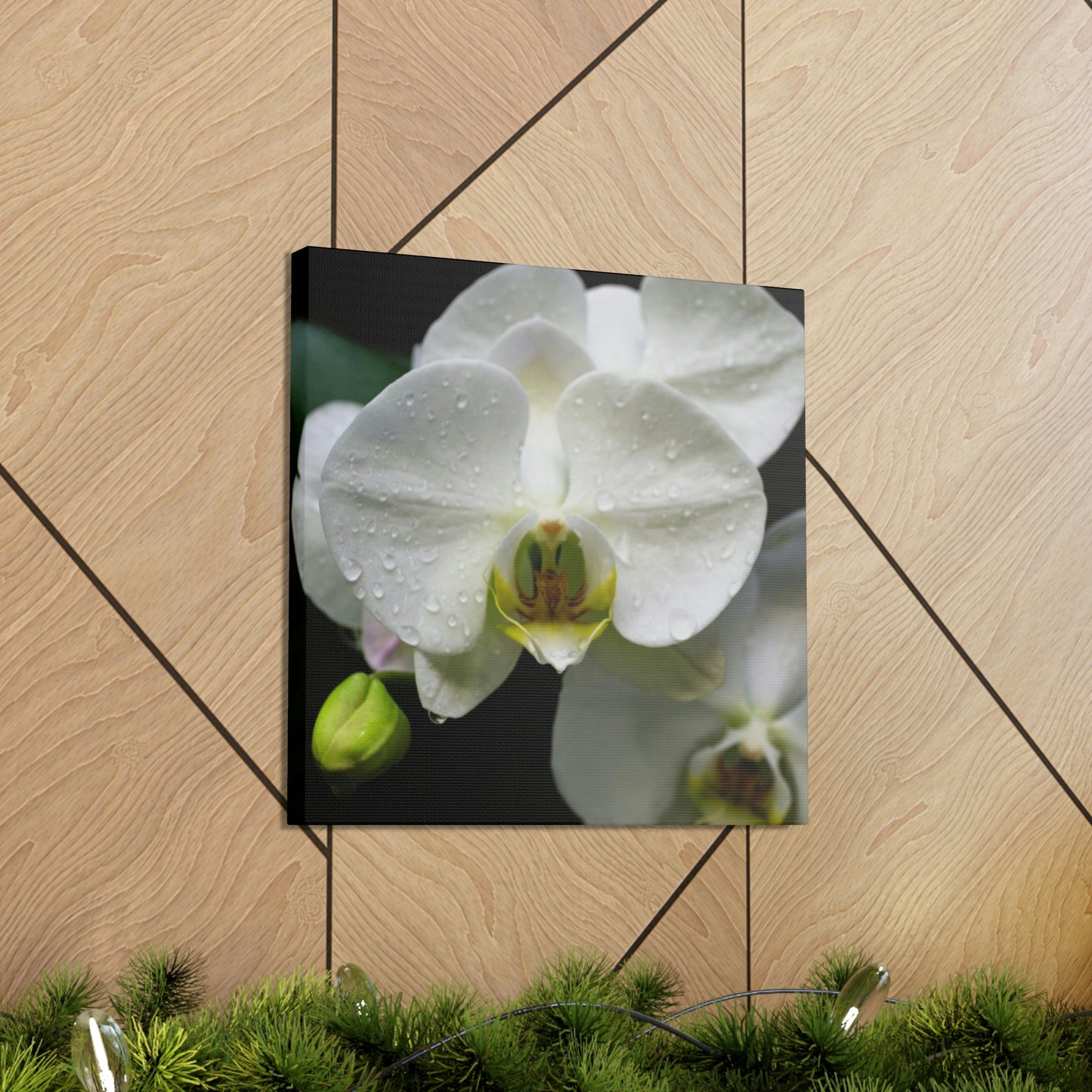 Orchid in the dark Canvas Gallery Wraps