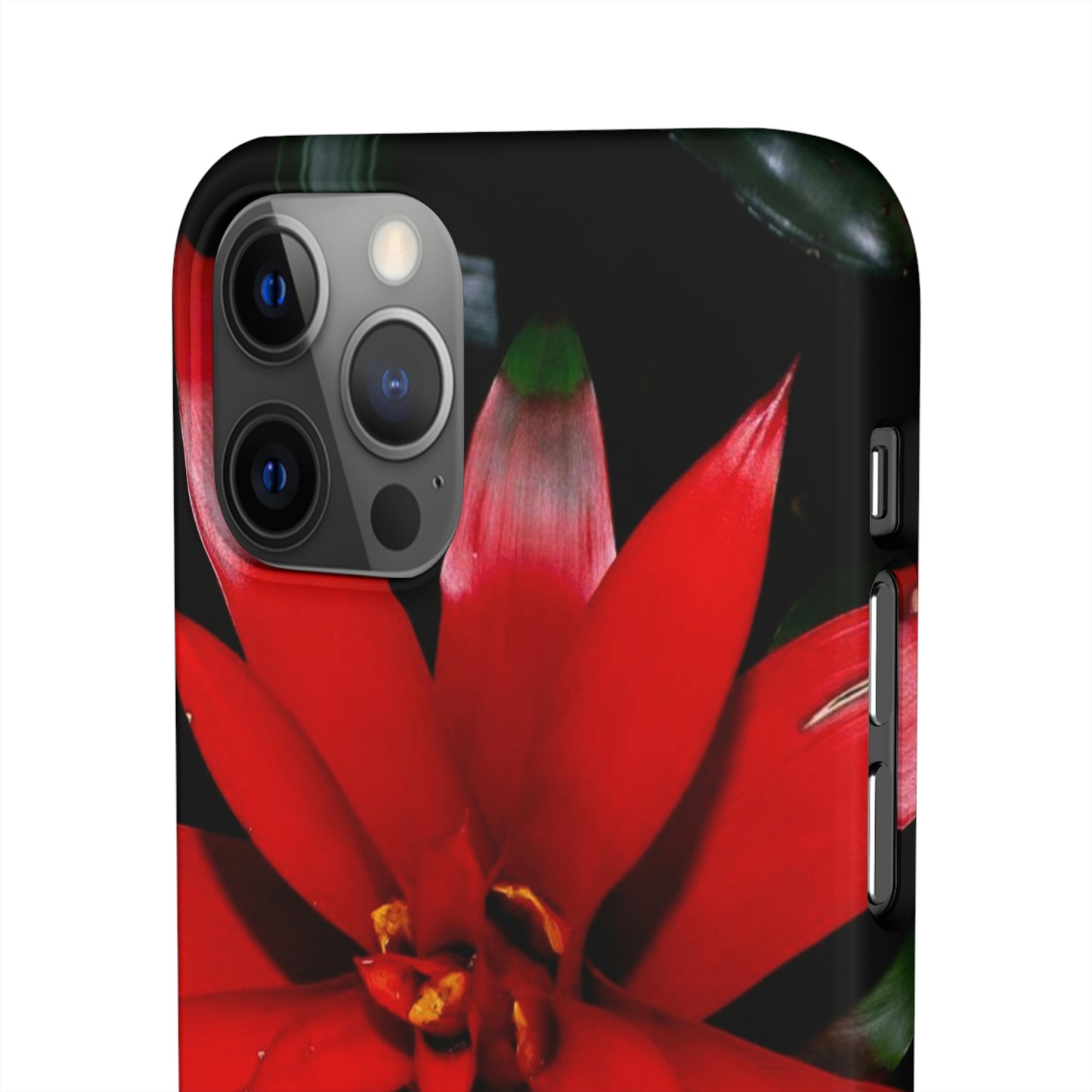 Floral Burst Snap Cases