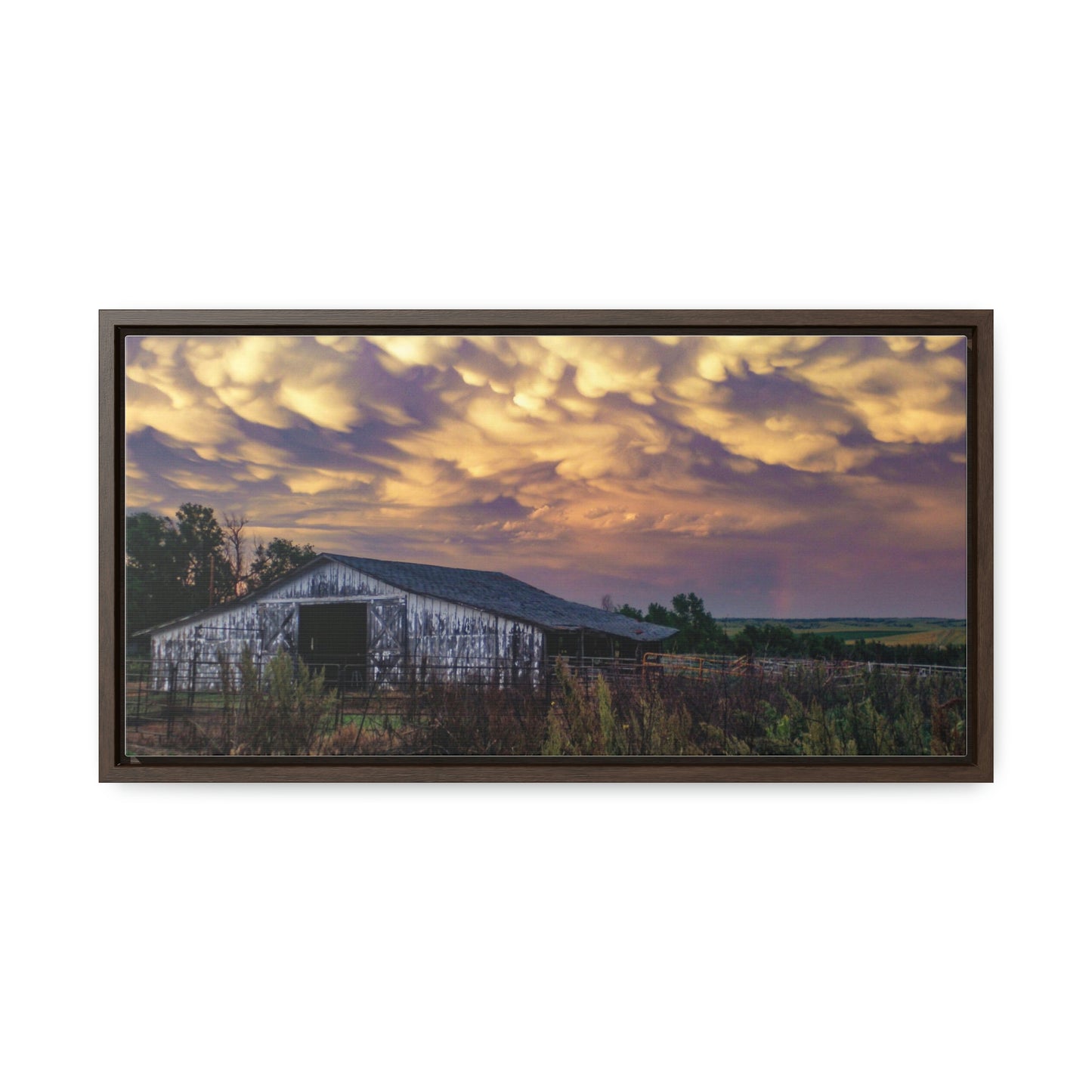 Storm on the plains Gallery Canvas Wraps, Horizontal Frame