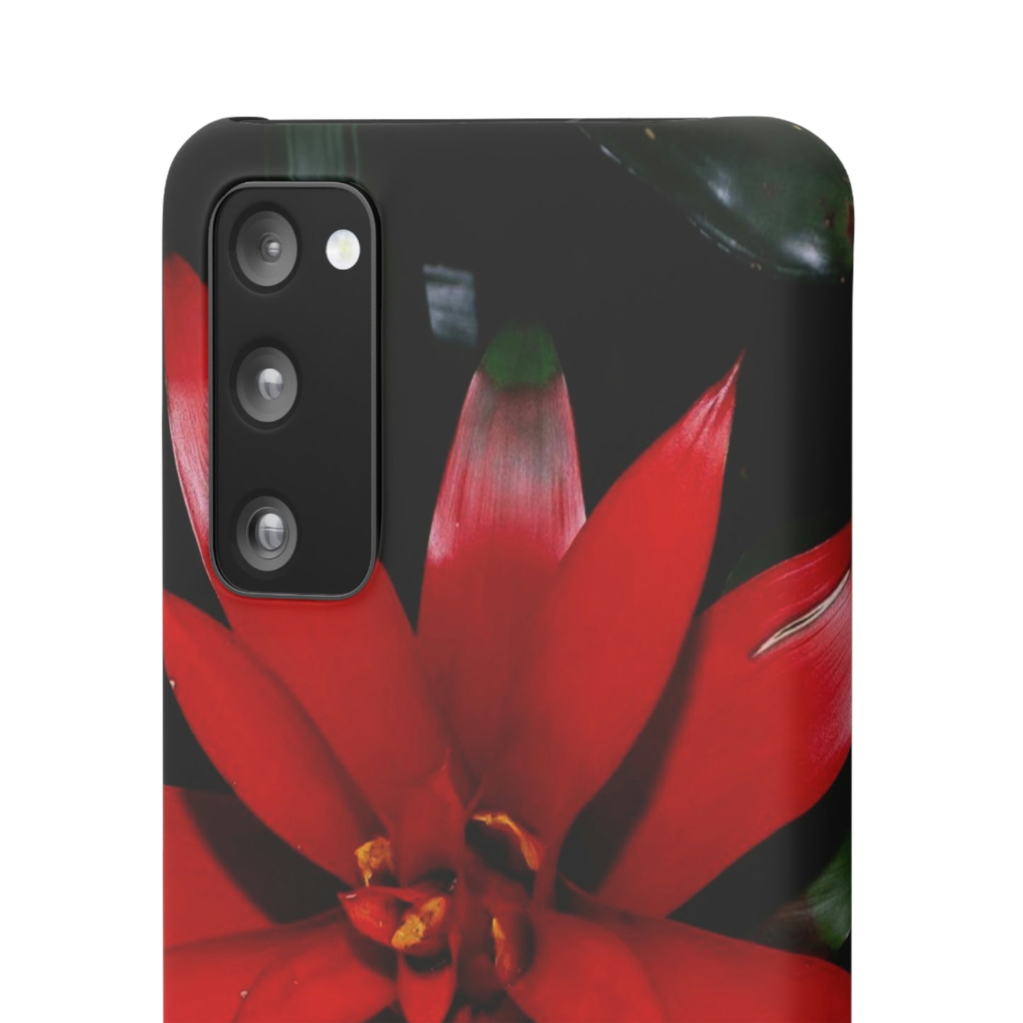 Floral Burst Snap Cases