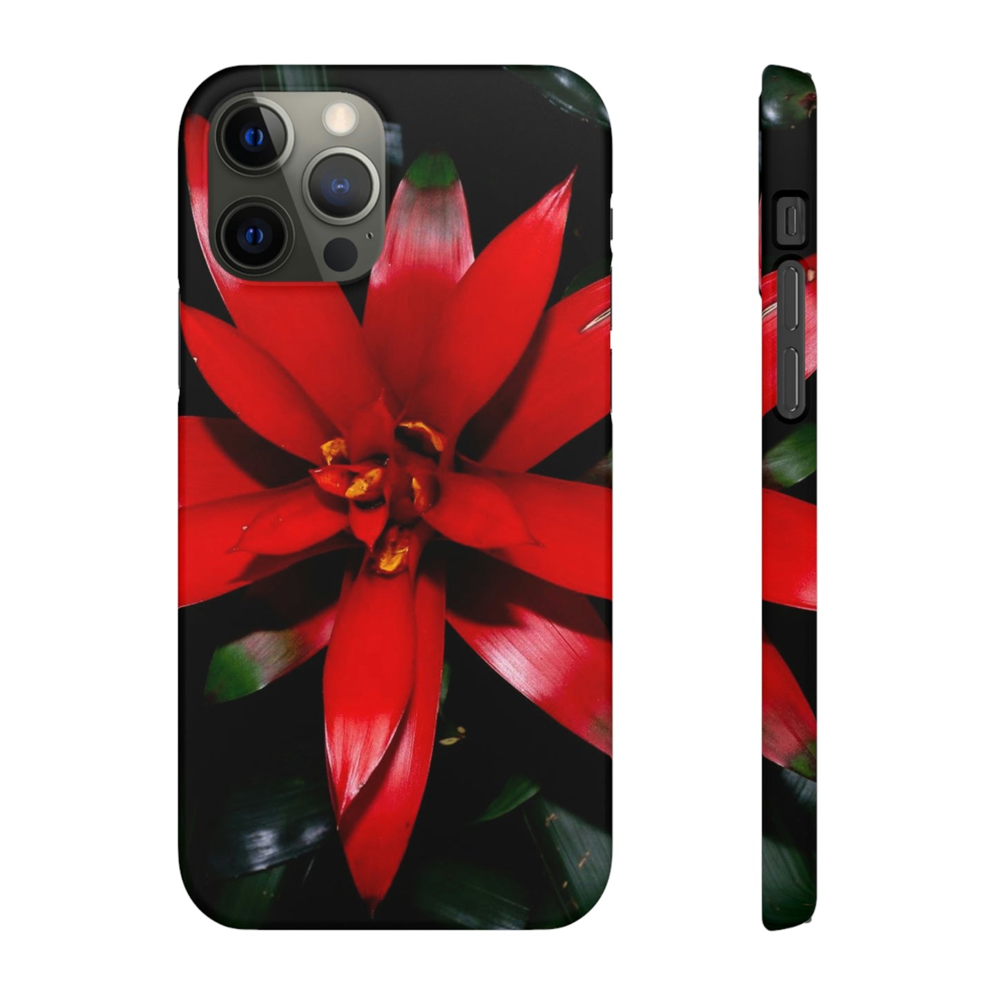 Floral Burst Snap Cases