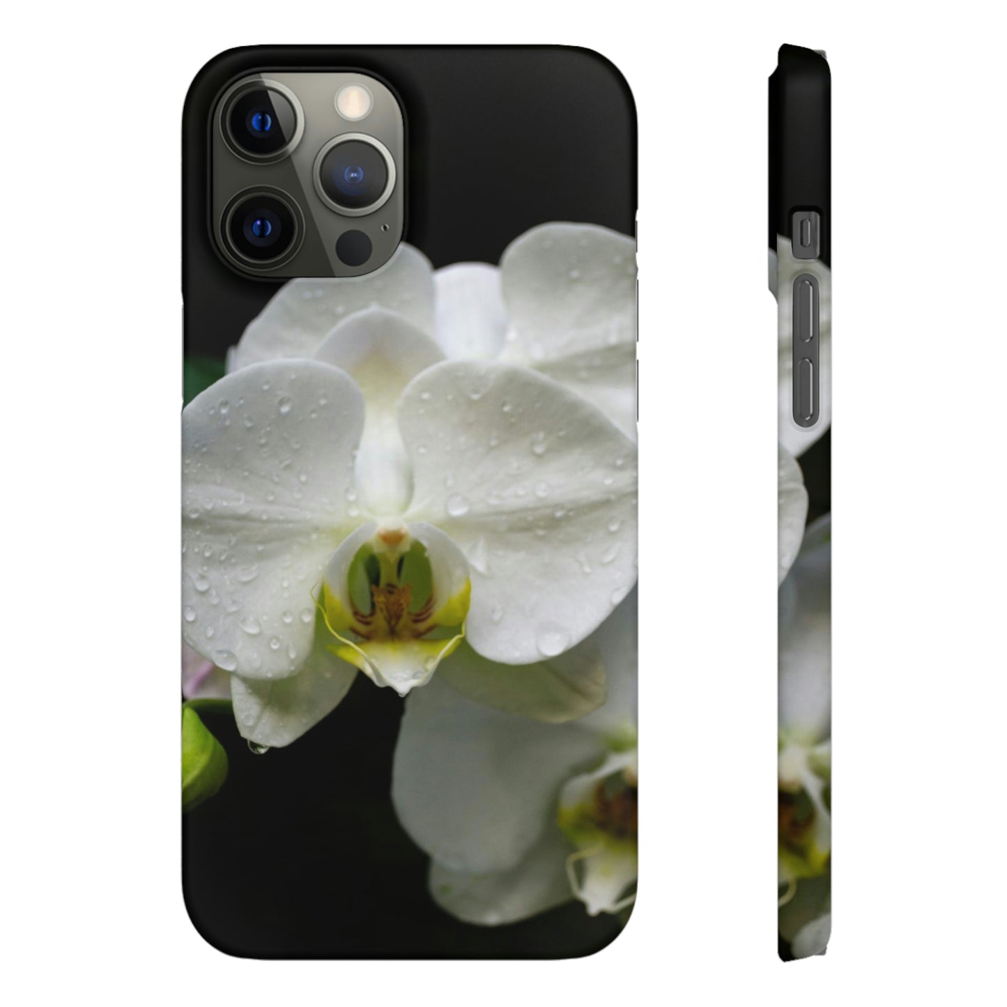 Orchid Snap Cases