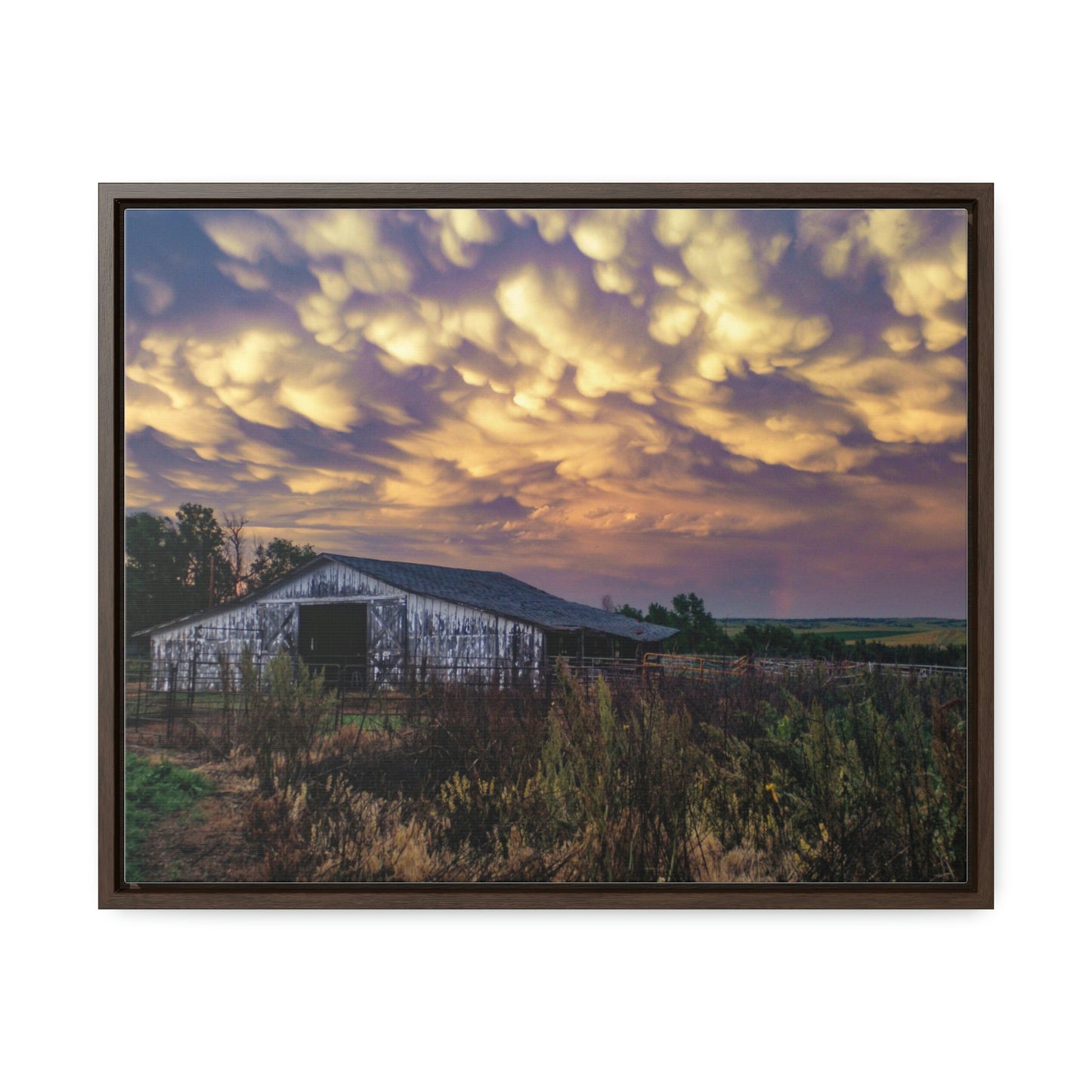 Storm on the plains Gallery Canvas Wraps, Horizontal Frame