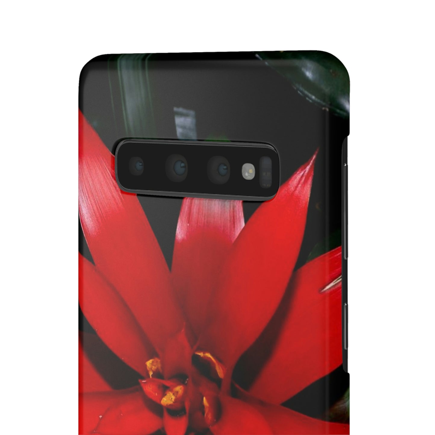 Floral Burst Snap Cases