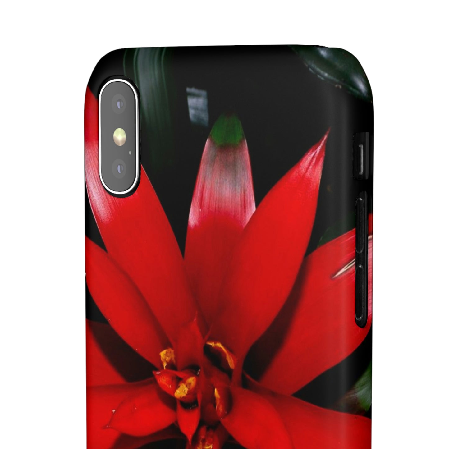 Floral Burst Snap Cases