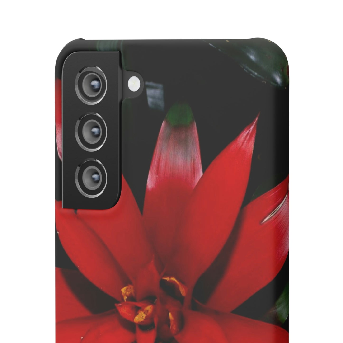 Floral Burst Snap Cases