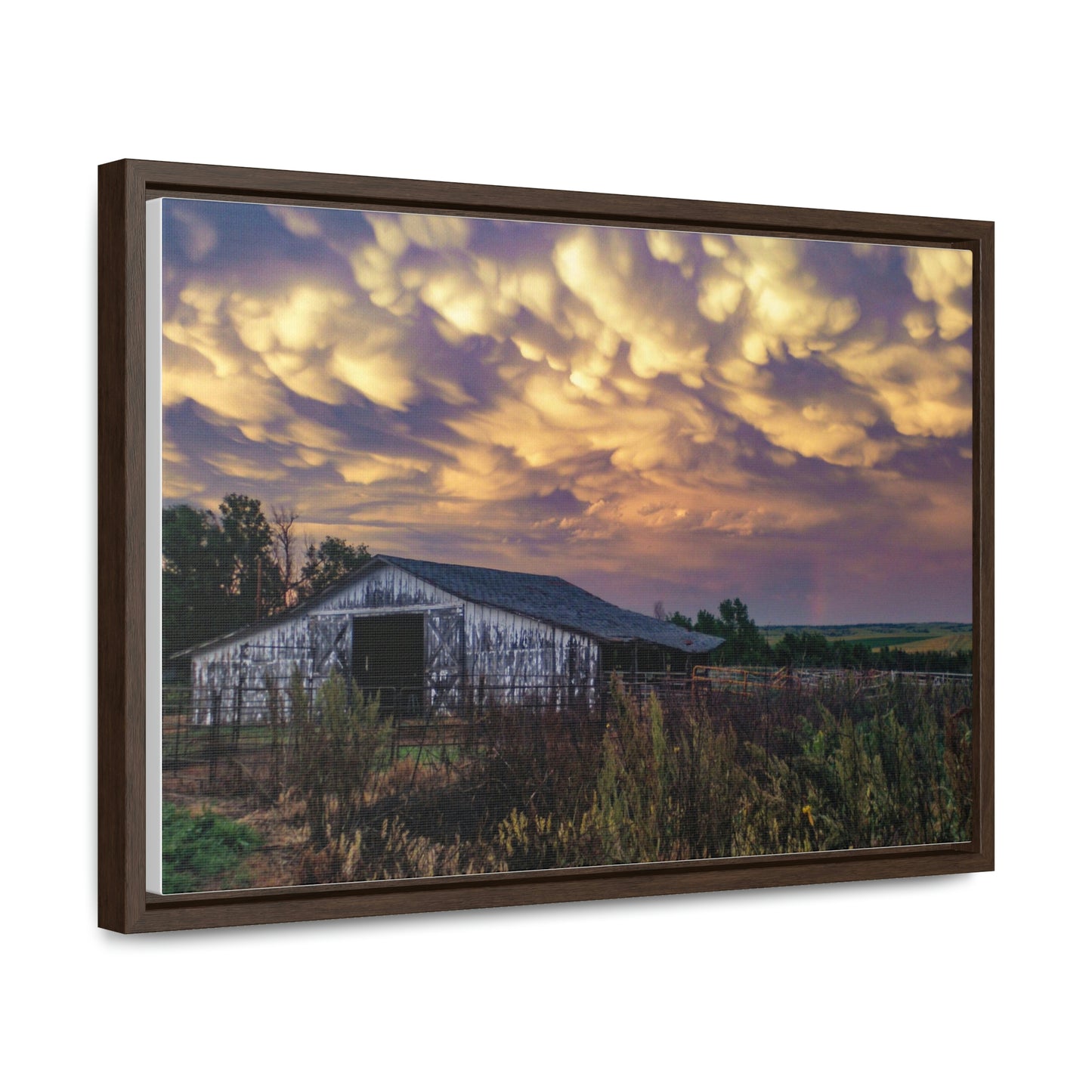 Storm on the plains Gallery Canvas Wraps, Horizontal Frame