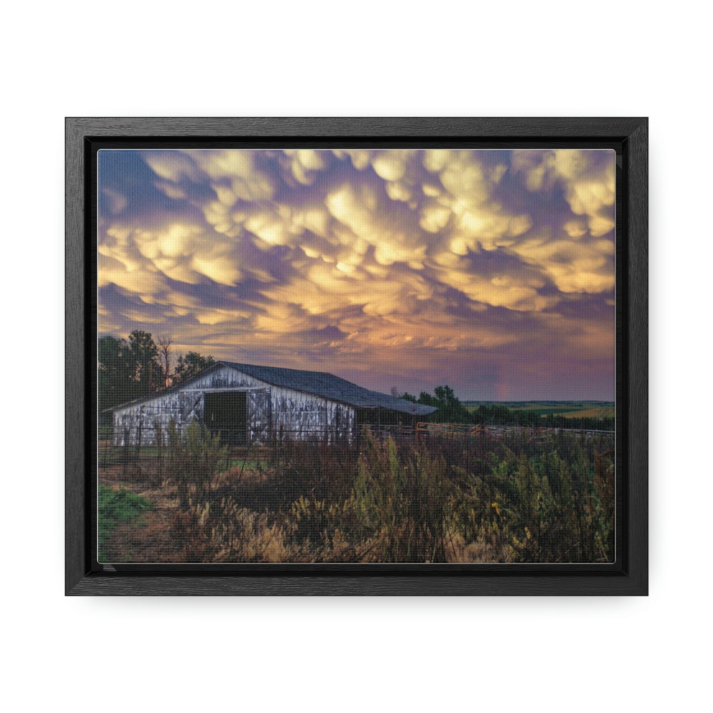 Storm on the plains Gallery Canvas Wraps, Horizontal Frame