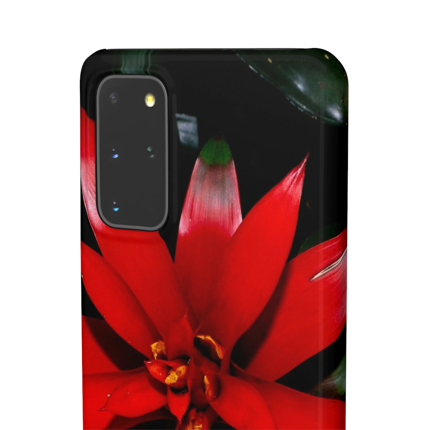 Floral Burst Snap Cases