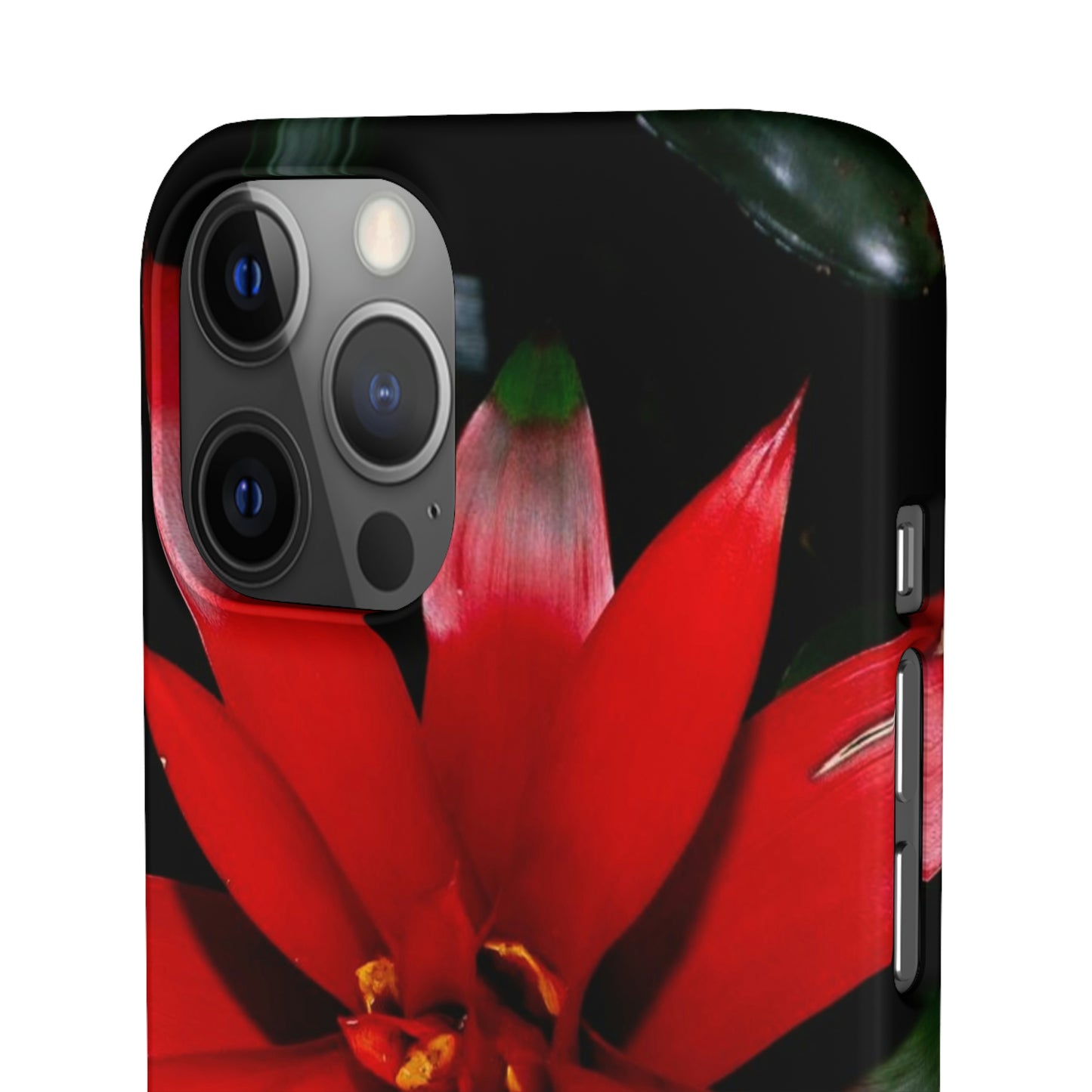 Floral Burst Snap Cases