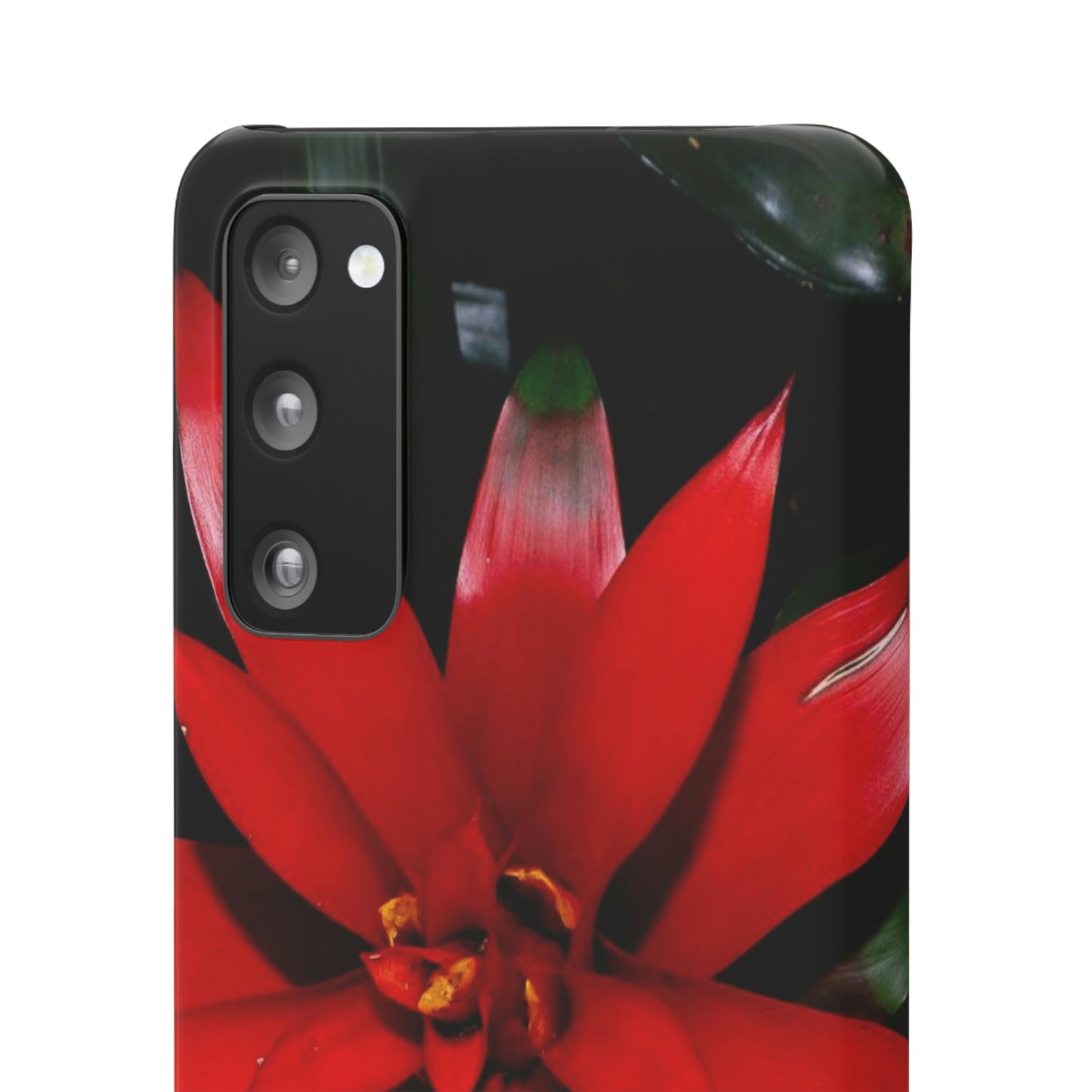 Floral Burst Snap Cases