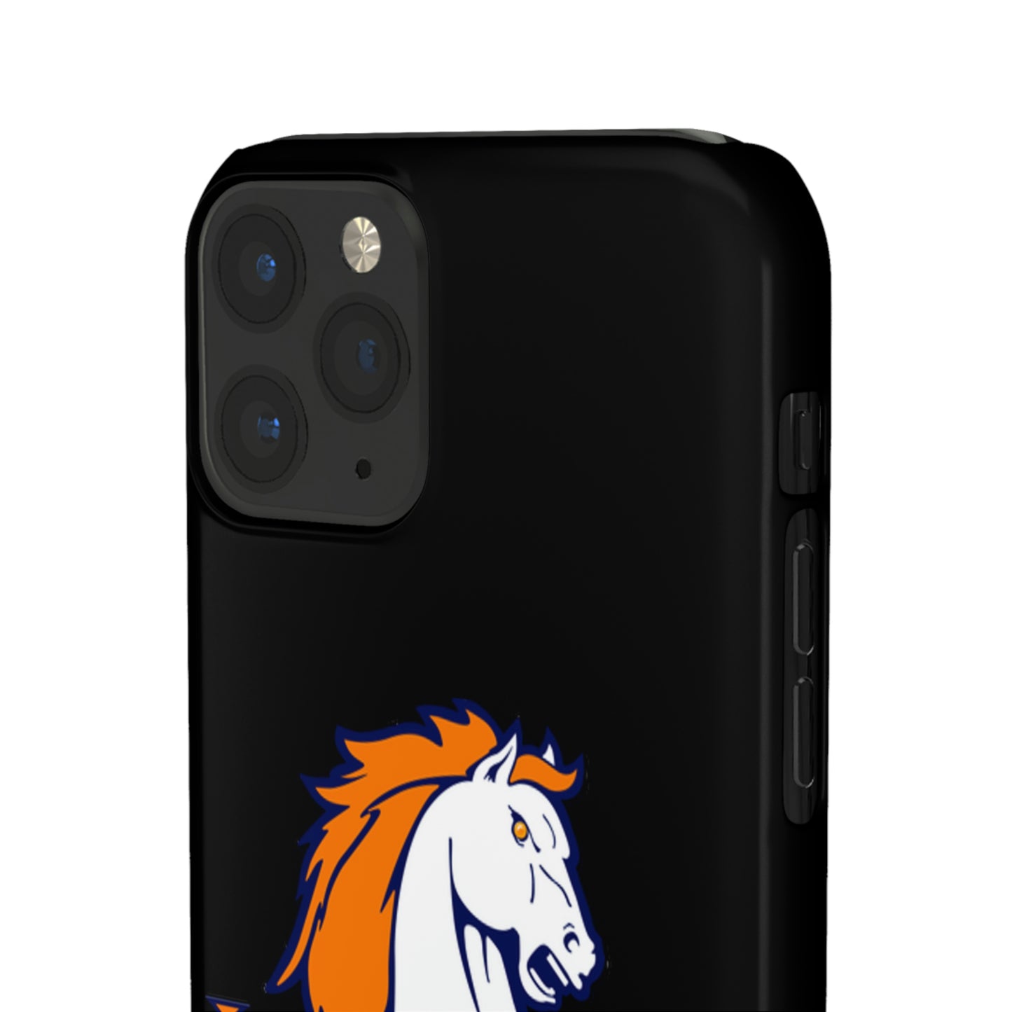 Brandeis Snap Cases