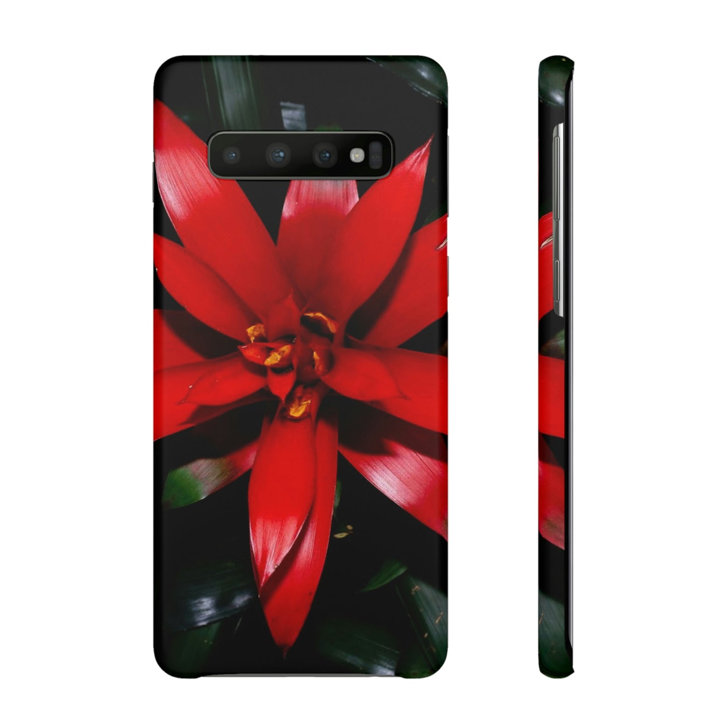 Floral Burst Snap Cases