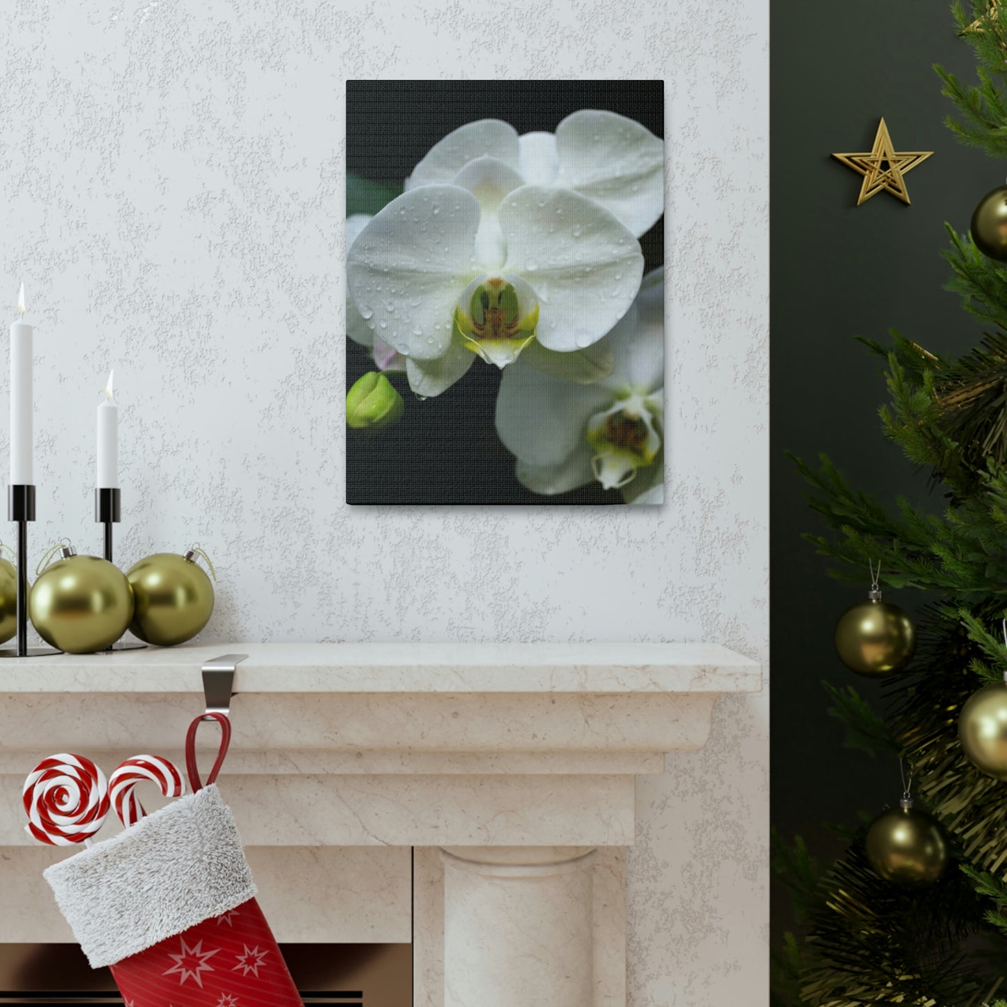 Orchid in the dark Canvas Gallery Wraps