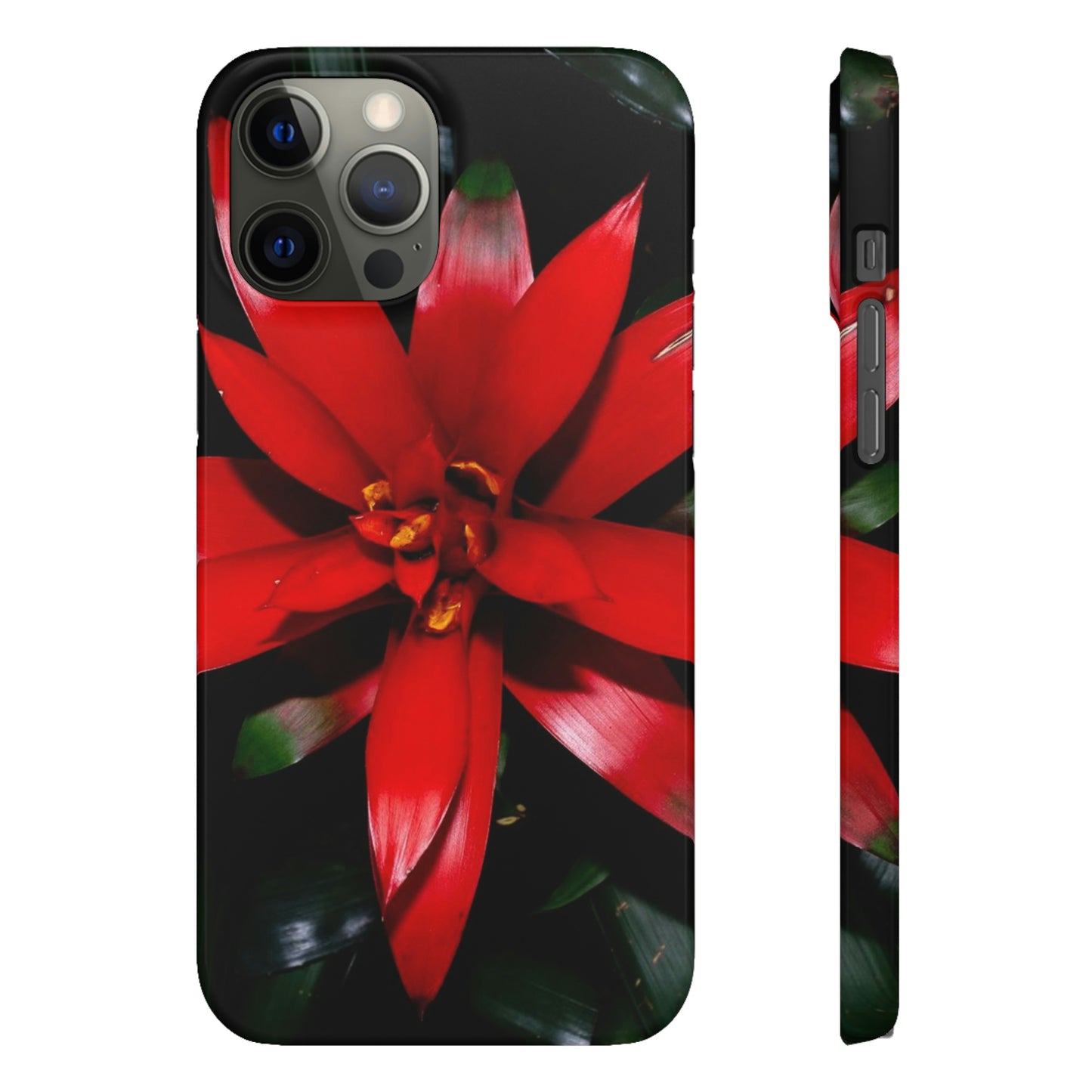 Floral Burst Snap Cases