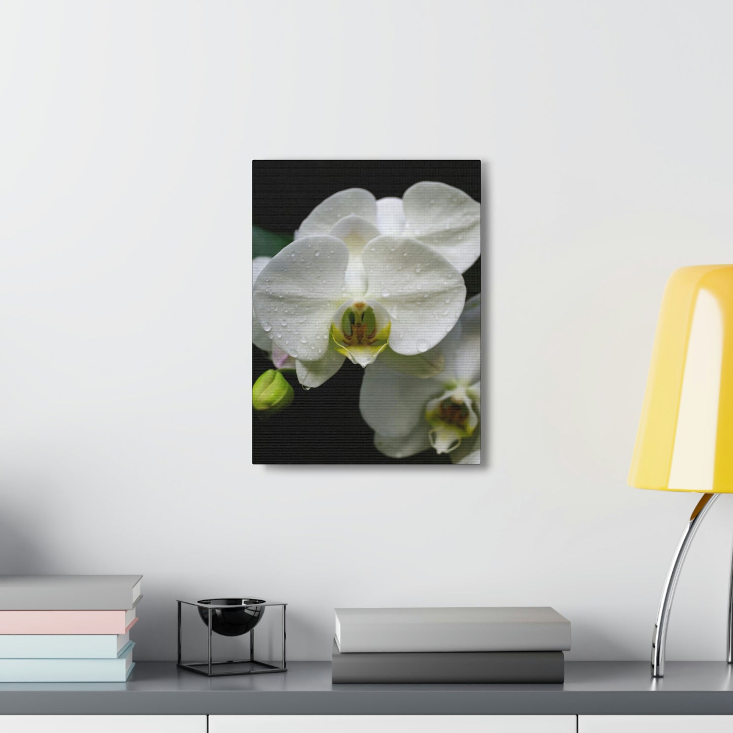 Orchid in the dark Canvas Gallery Wraps