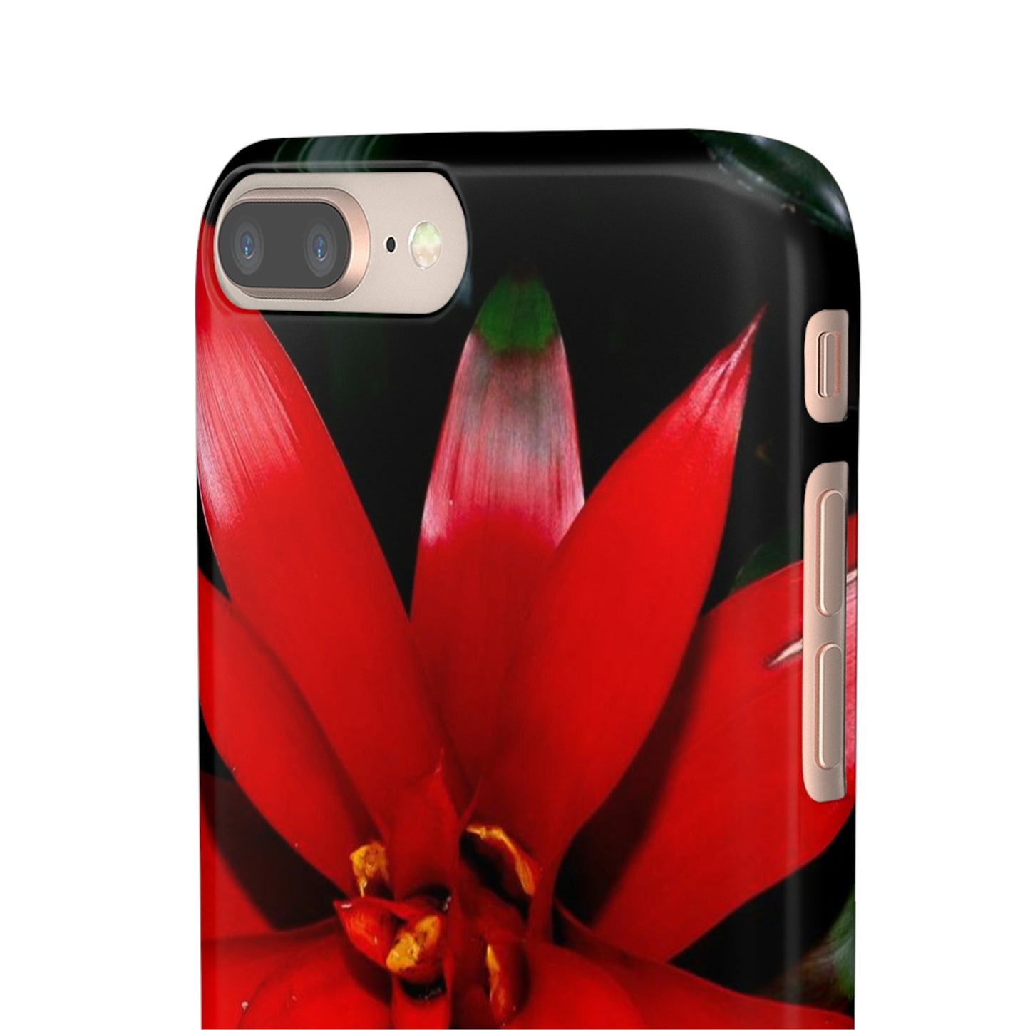 Floral Burst Snap Cases