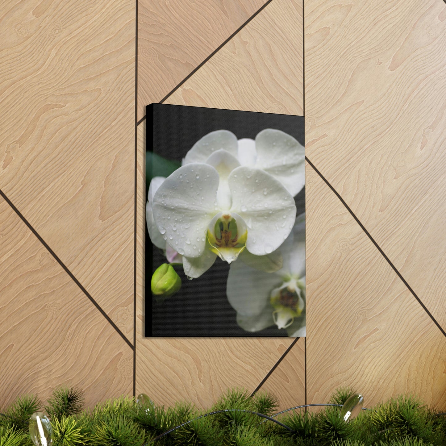 Orchid in the dark Canvas Gallery Wraps