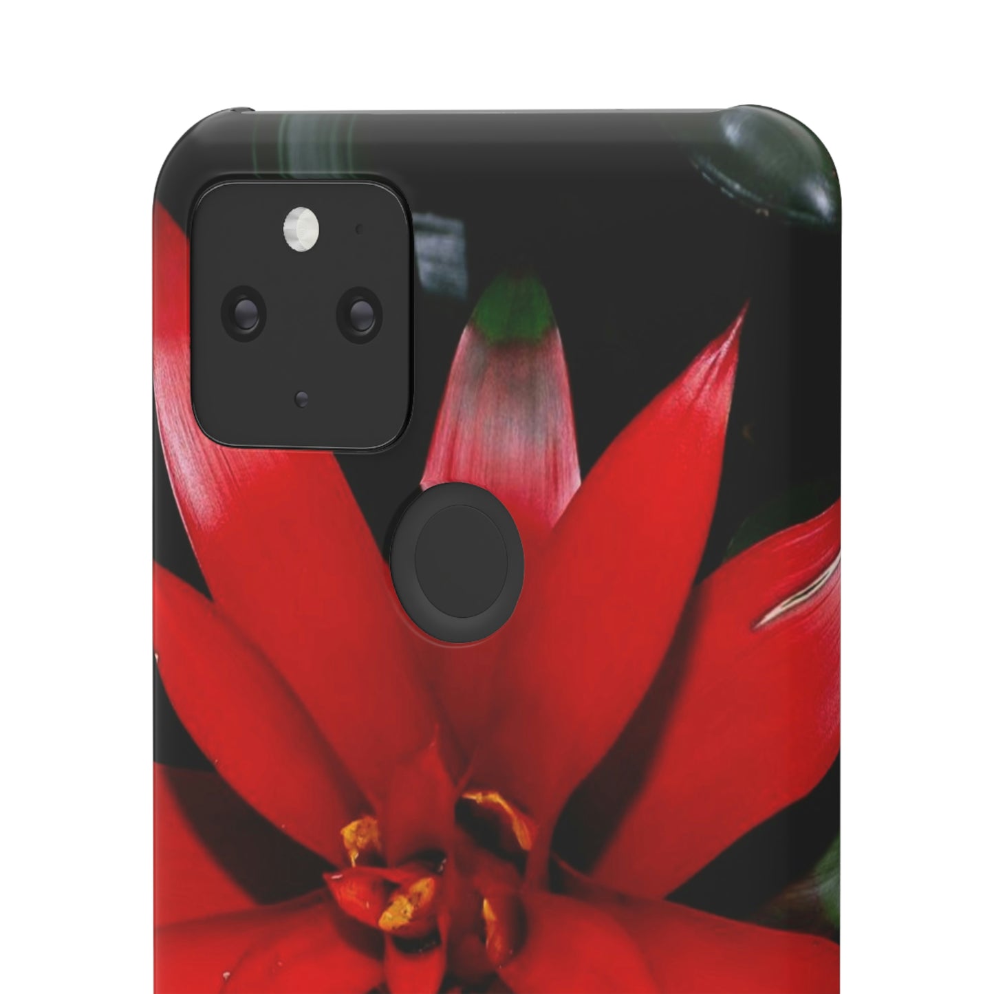 Floral Burst Snap Cases