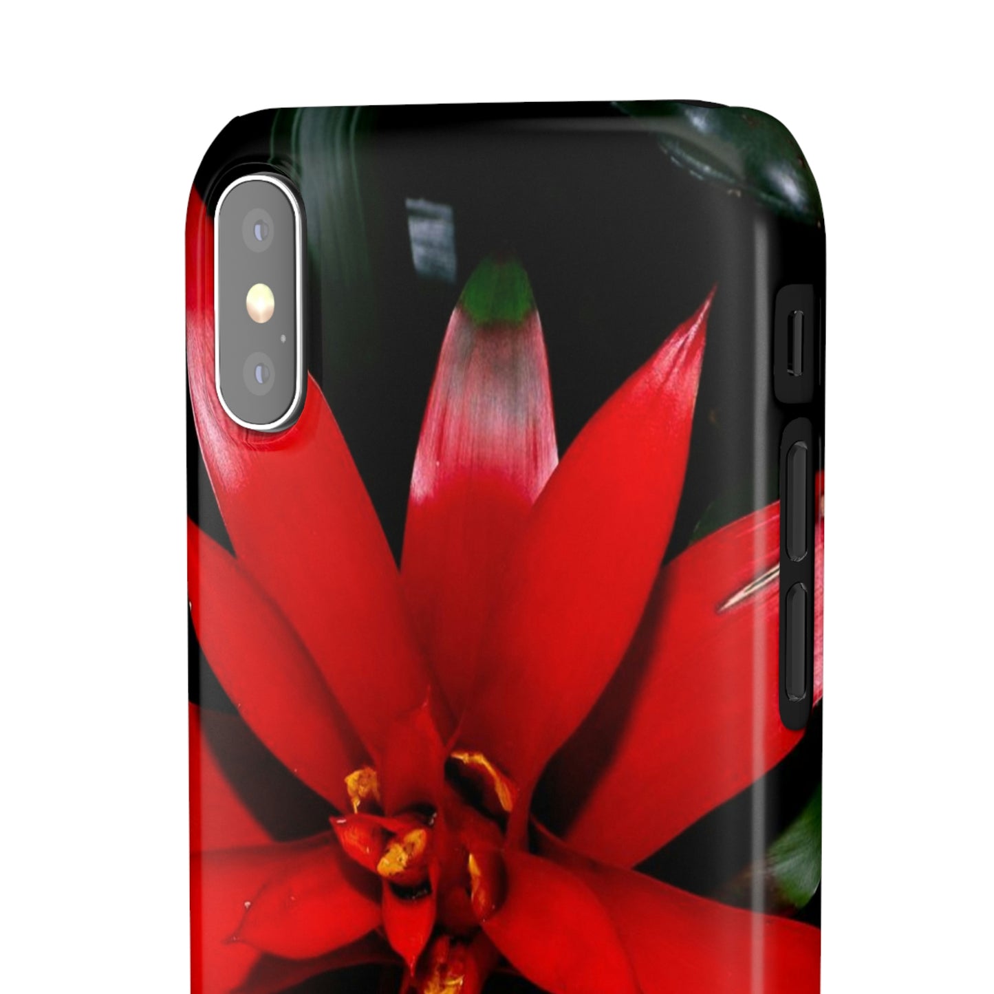 Floral Burst Snap Cases