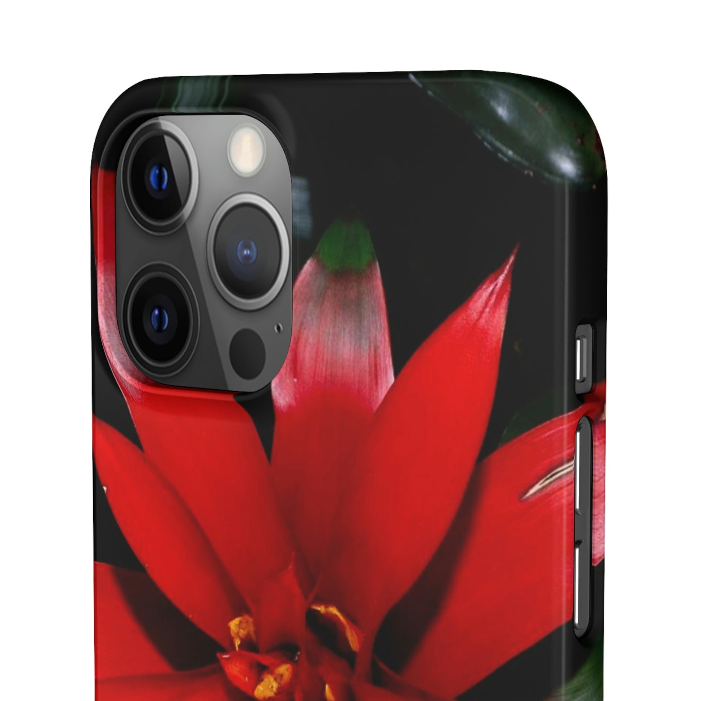 Floral Burst Snap Cases