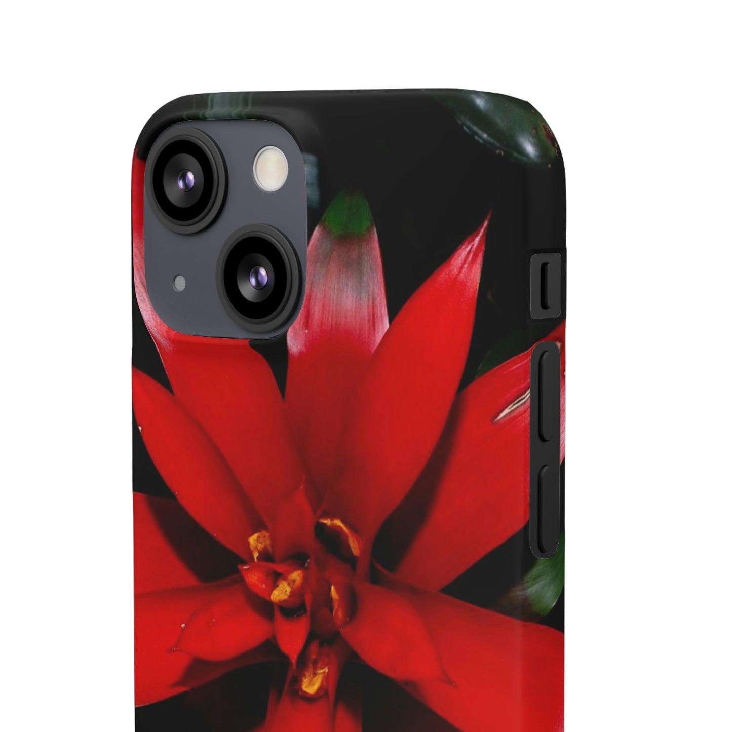 Floral Burst Snap Cases